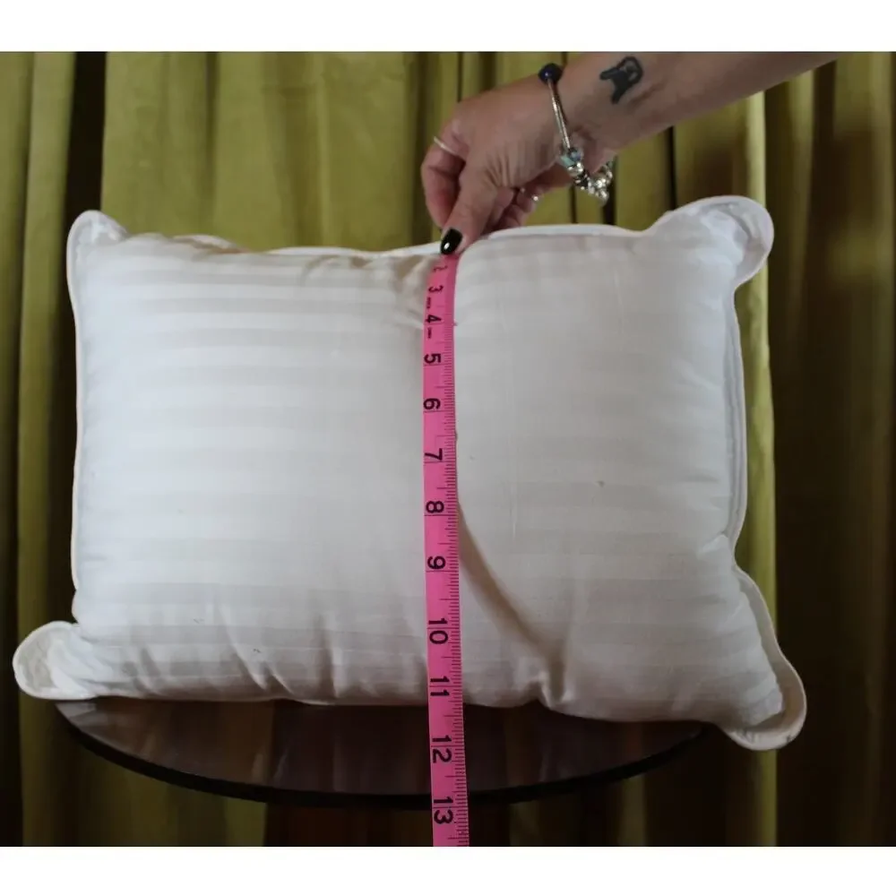 Two New Toddler Pillows 14x11
